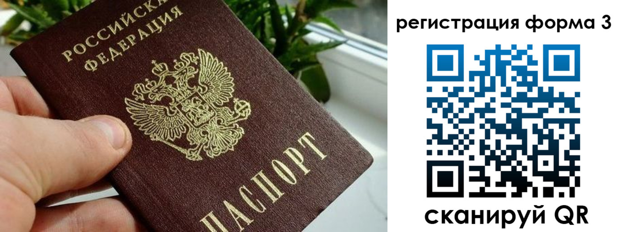 прописка штамп в Белокурихе